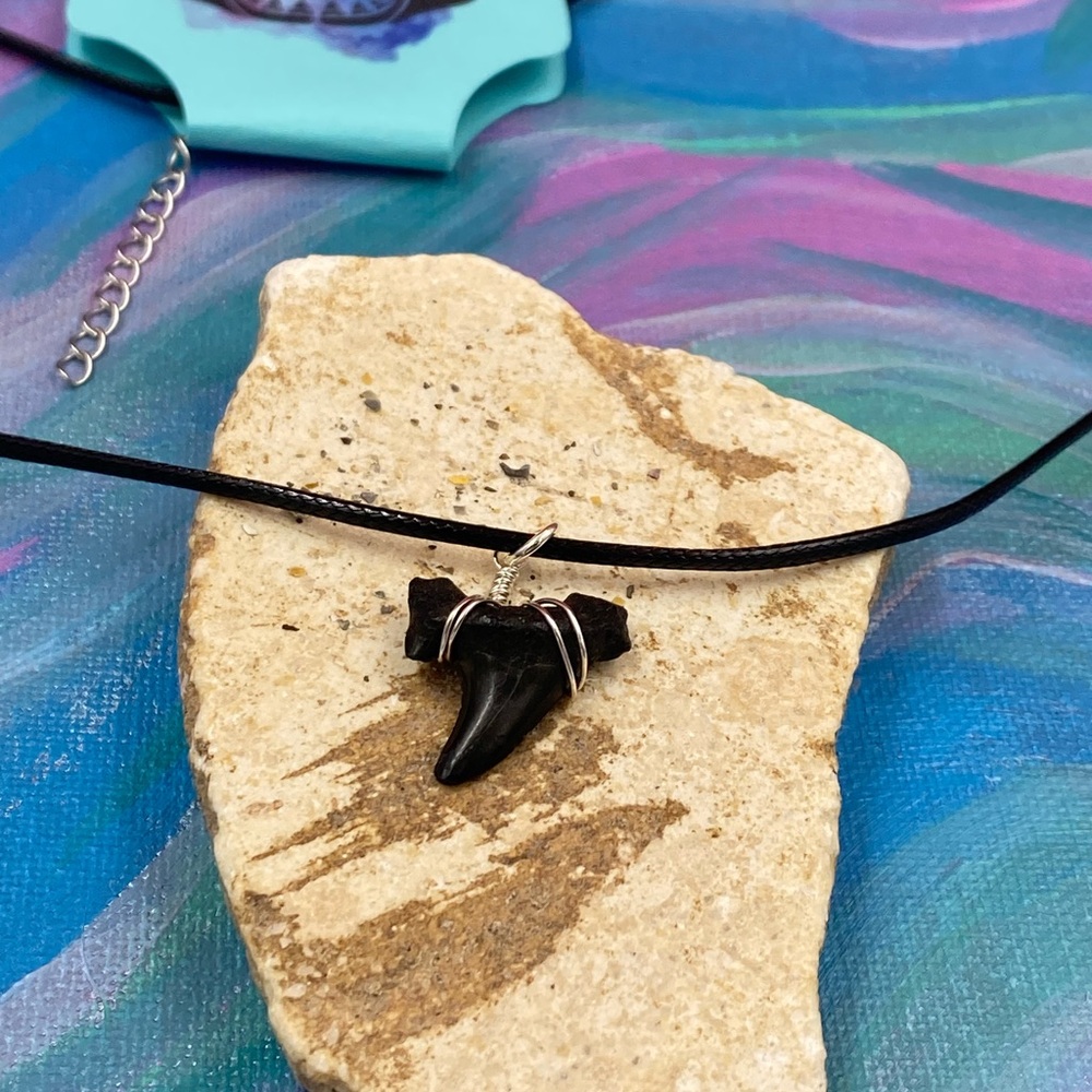 Elegant Black Shark Tooth Pendant Necklace
